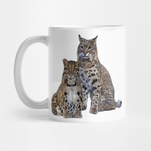 wild cats Mug